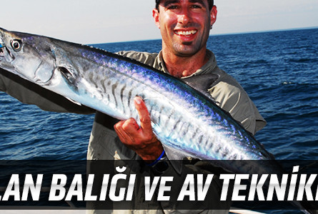 Ceylan Balığı ve Av Teknikleri