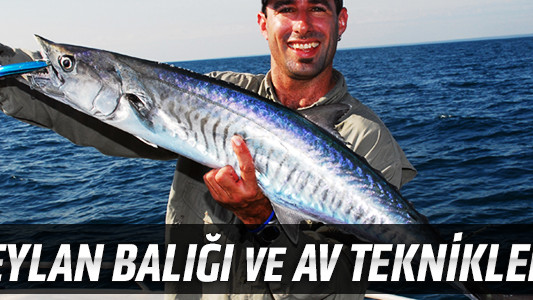 Ceylan Balığı ve Av Teknikleri