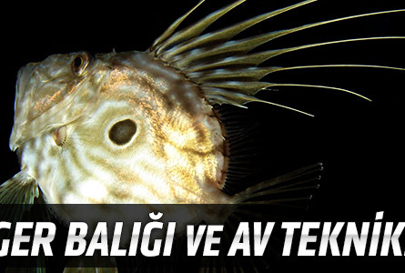 Dülger Balığı ve Av Teknikleri