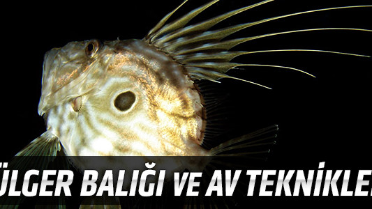 Dülger Balığı ve Av Teknikleri