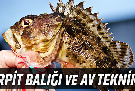 İskorpit Balığı ve Av Teknikleri