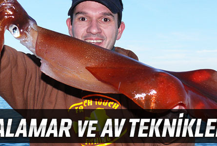 Kalamar ve Av Teknikleri
