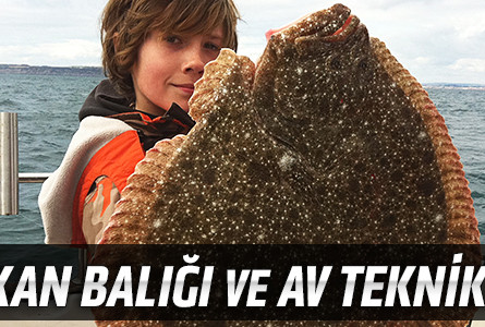 Kalkan Balığı ve Av Teknikleri