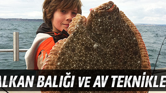 Kalkan Balığı ve Av Teknikleri