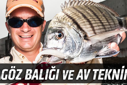 Karagöz Balığı ve Av Teknikleri