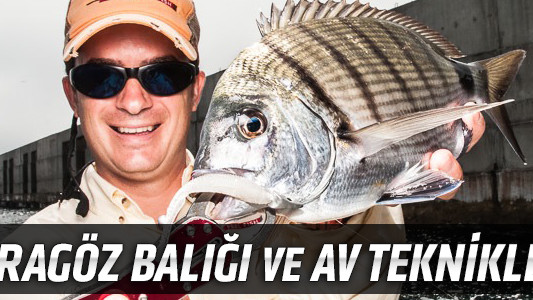 Karagöz Balığı ve Av Teknikleri