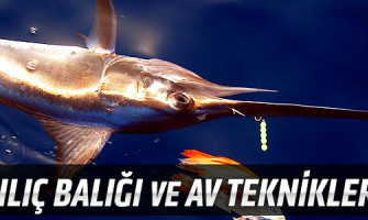 Kılıç Balığı ve Av Teknikleri