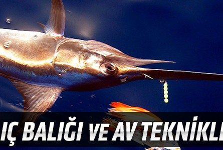 Kılıç Balığı ve Av Teknikleri