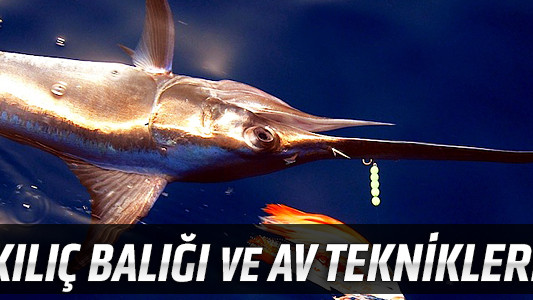 Kılıç Balığı ve Av Teknikleri