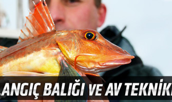 Kırlangıç Balığı ve Av Teknikleri