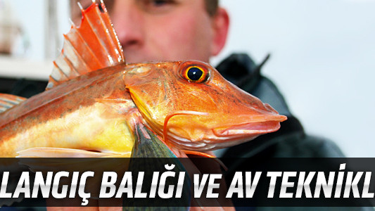 Kırlangıç Balığı ve Av Teknikleri