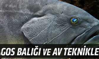 Lagos Balığı ve Av Teknikleri