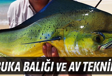Lambuka Balığı ve Av Teknikleri