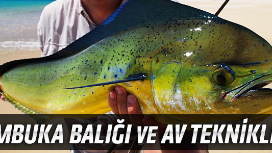 Lambuka Balığı ve Av Teknikleri