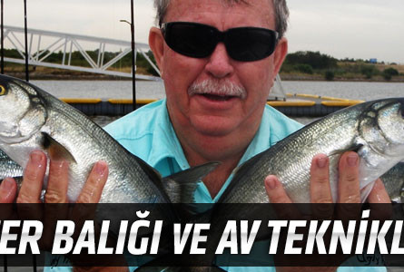 Lüfer Balığı ve Av Teknikleri