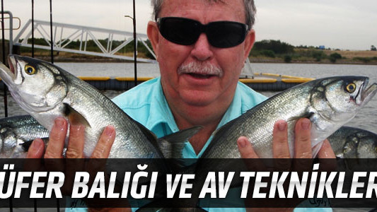 Lüfer Balığı ve Av Teknikleri