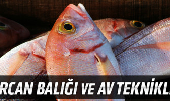 Mercan Balığı ve Av Teknikleri