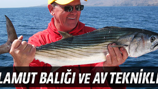 Palamut Balığı ve Av Teknikleri
