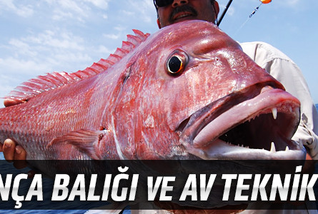 Trança Balığı ve Av Teknikleri