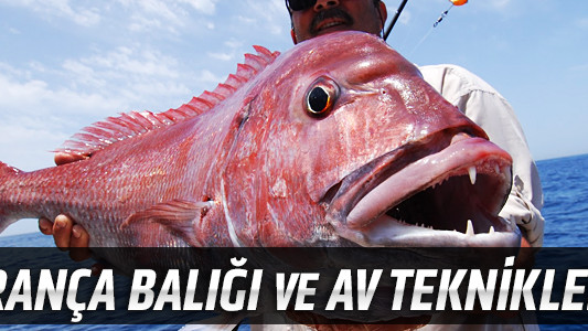 Trança Balığı ve Av Teknikleri