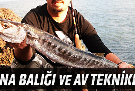 Turna Balığı ve Av Teknikleri