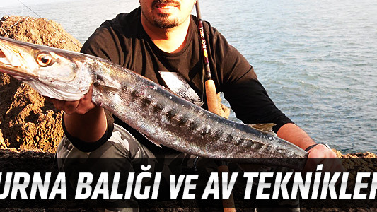 Turna Balığı ve Av Teknikleri
