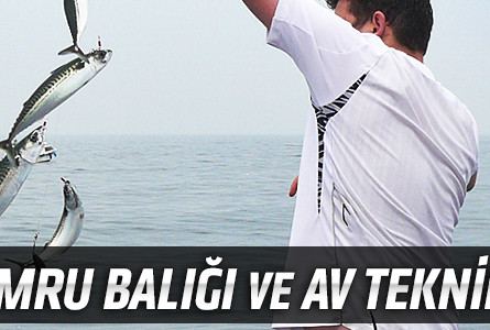 Uskumru Balığı ve Av Teknikleri