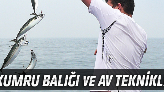Uskumru Balığı ve Av Teknikleri